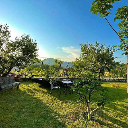 Country House Djurisic Virpazar Esterno foto
