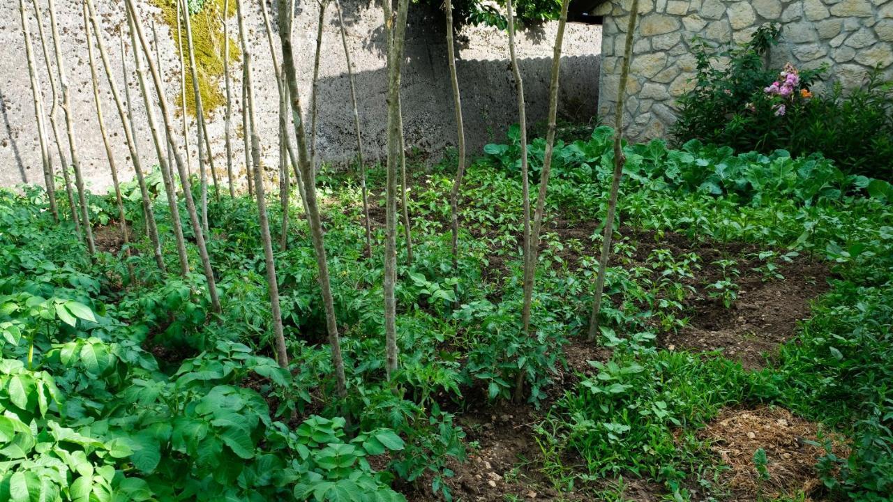 Country House Djurisic Virpazar Esterno foto