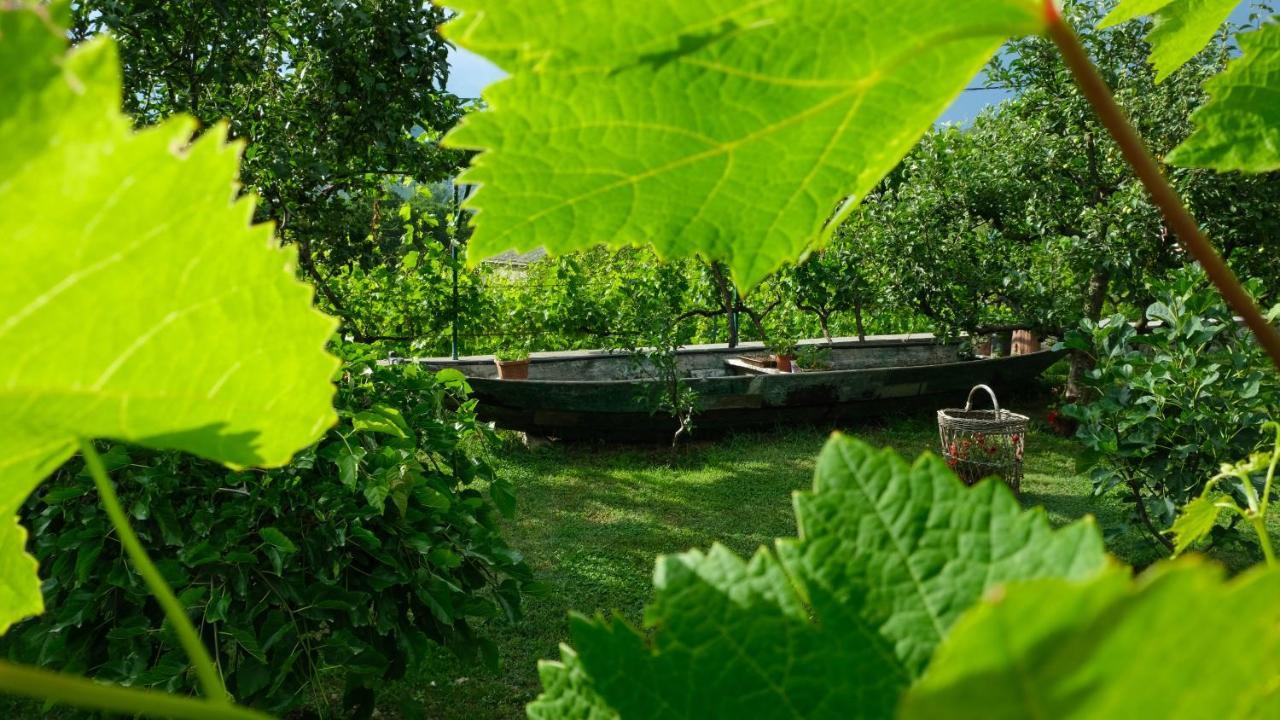 Country House Djurisic Virpazar Esterno foto