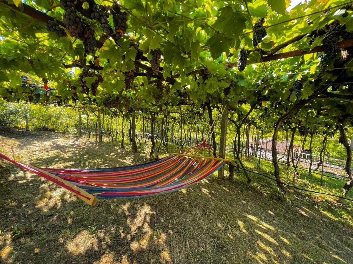 Country House Djurisic Virpazar Esterno foto
