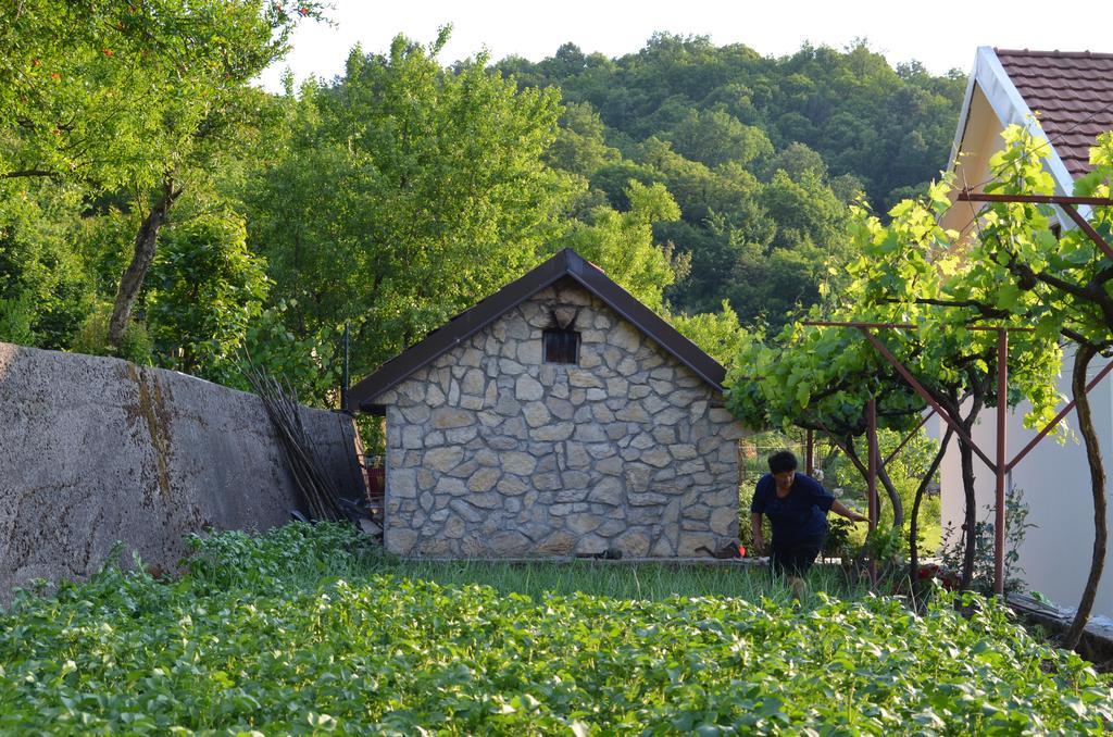 Country House Djurisic Virpazar Esterno foto